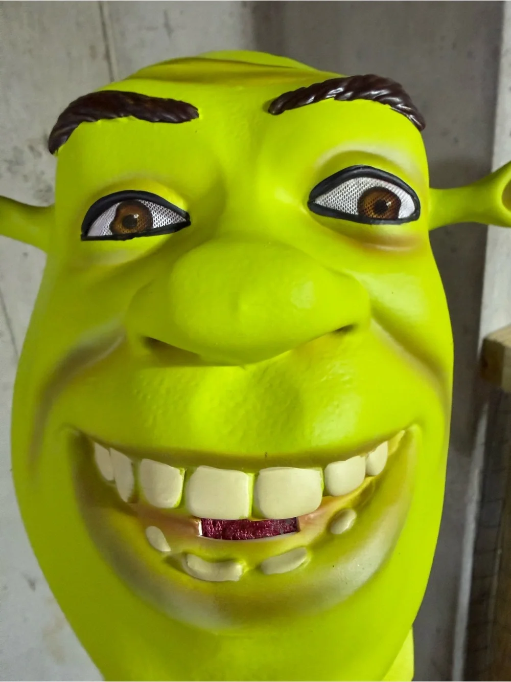 Shrek mask and hands